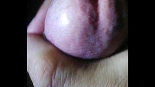 ���ាទំនហាមឃាត់ nhieu ណ្ដាច្ឆិកាក្វាងច្រើនឯការប្រ