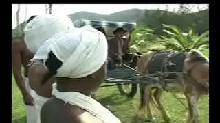 ���ా Negras డా senzala